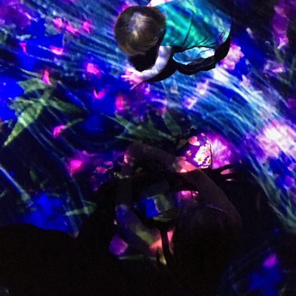 TeamLab : Au-delà des limites
