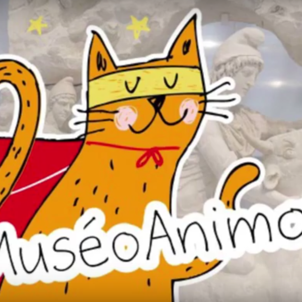#MuséoAnimaux