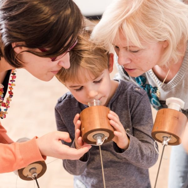 Das Sensorium