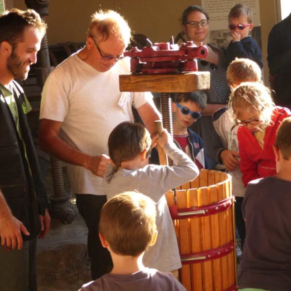 Tous au musée de la vigne et du vin d'Anjou !