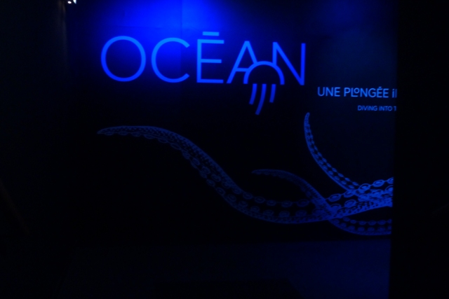 Mur d'entrée de l'exposition océans